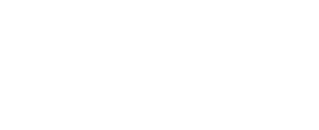 Kırkbinsinek